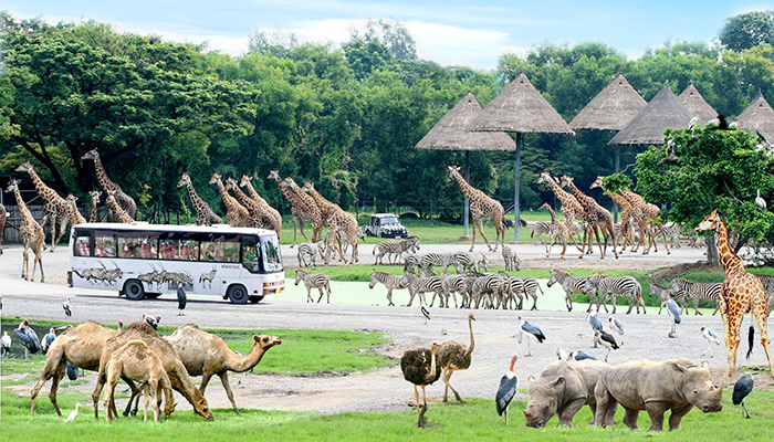 動(dòng)物園.jpg